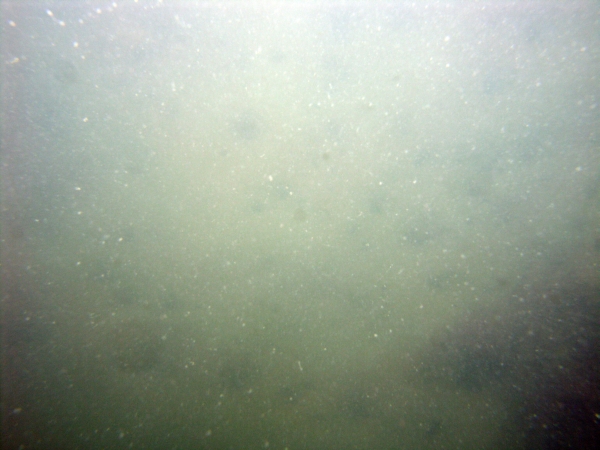 Image of seabed - photo.