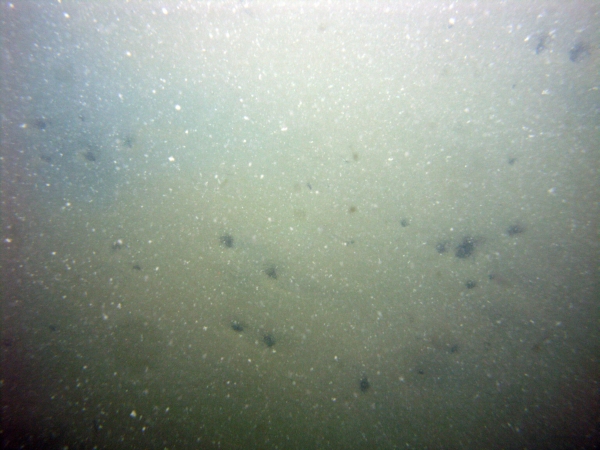 Image of seabed - photo.