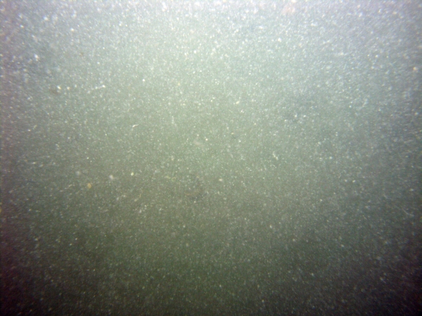 Image of seabed - photo.