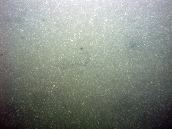 Image of seabed - photo.