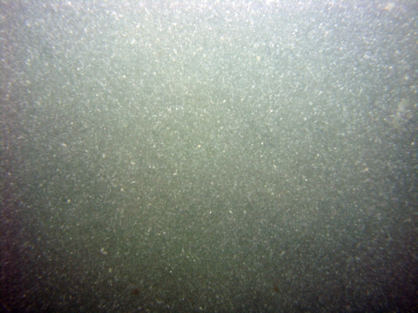 Image of seabed - photo.