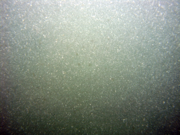 Image of seabed - photo.