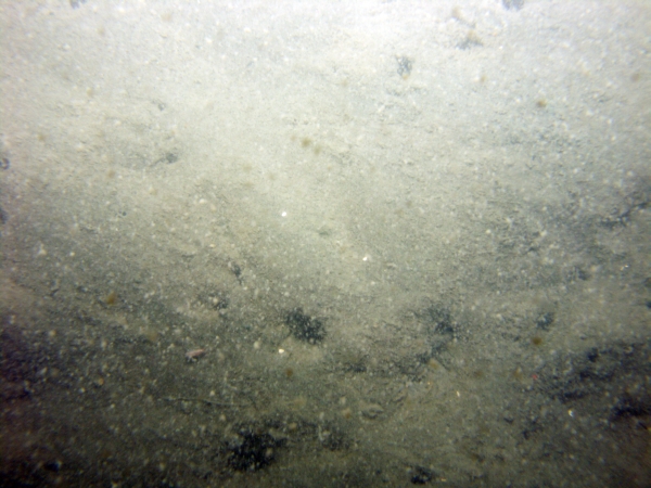 Image of seabed - photo.