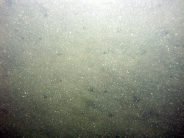 Image of seabed - photo.