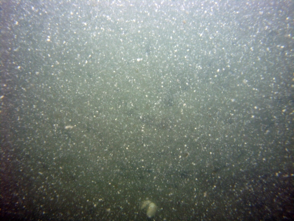 Image of seabed - photo.