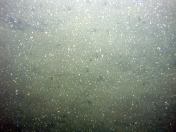 Image of seabed - photo.