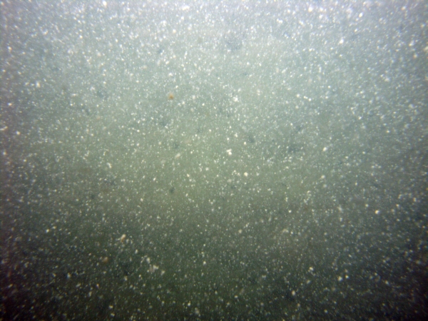 Image of seabed - photo.