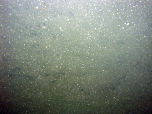 Image of seabed - photo.