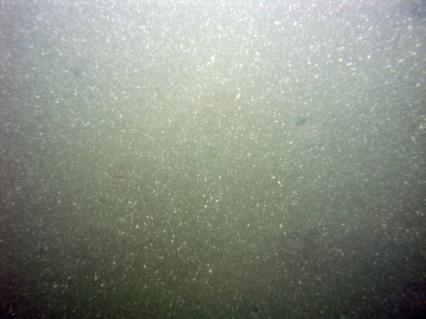 Image of seabed - photo.