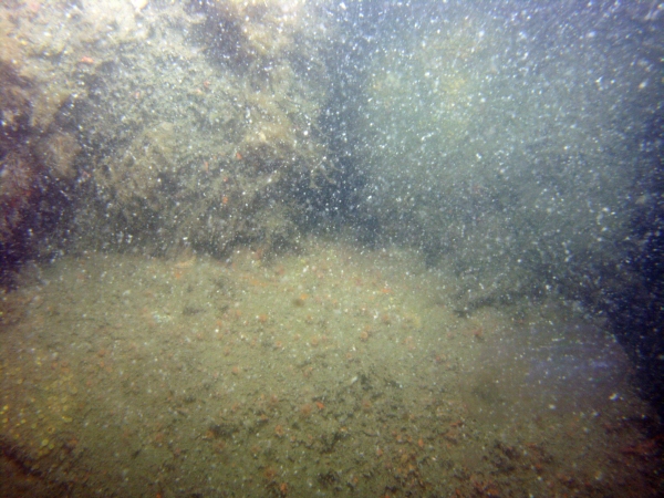 Image of seabed - photo.