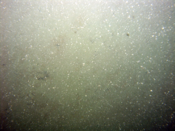 Image of seabed - photo.