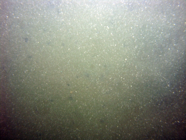 Image of seabed - photo.