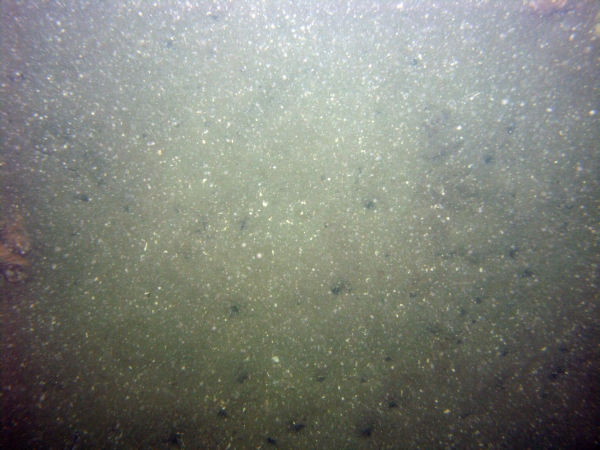 Image of seabed - photo.