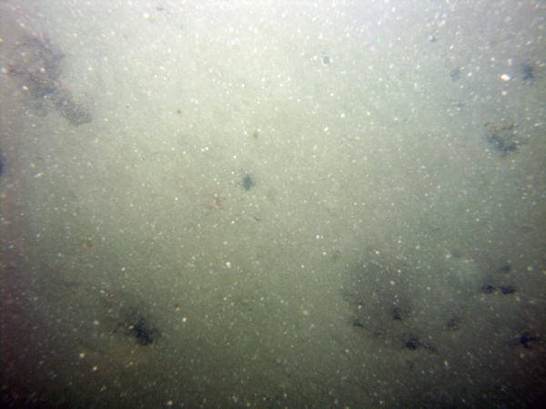 Image of seabed - photo.