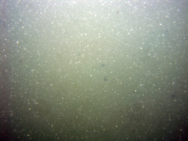 Image of seabed - photo.