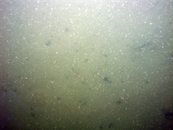 Image of seabed - photo.