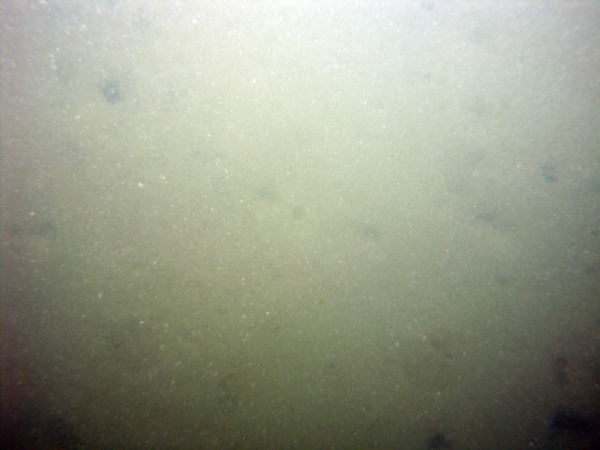 Image of seabed - photo.