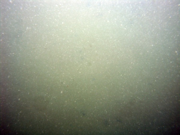 Image of seabed - photo.