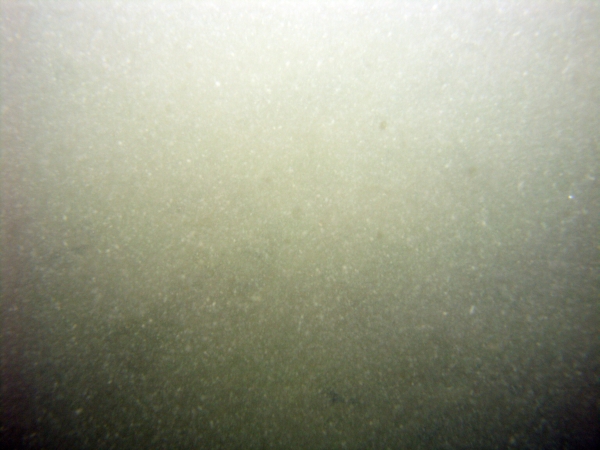 Image of seabed - photo.