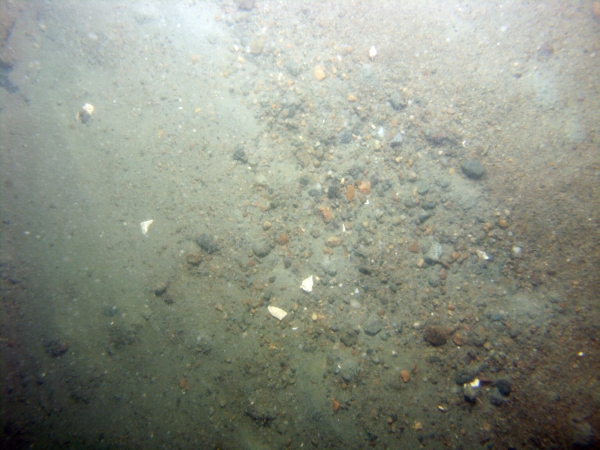 Image of seabed - photo.