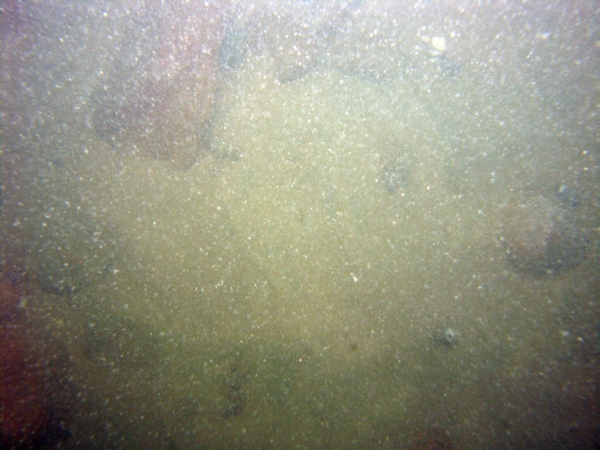 Image of seabed - photo.