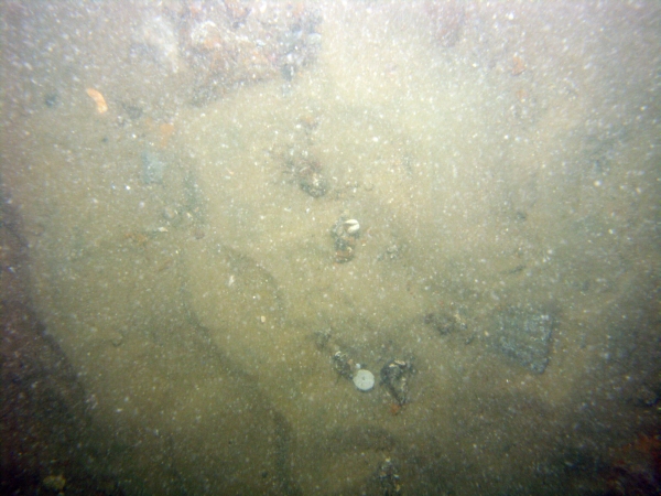 Image of seabed - photo.