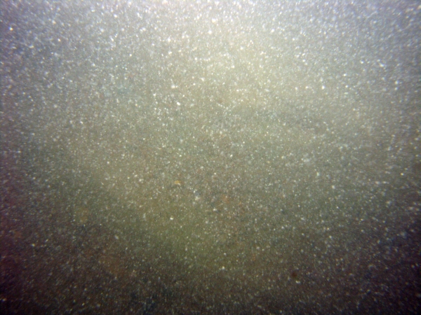 Image of seabed - photo.