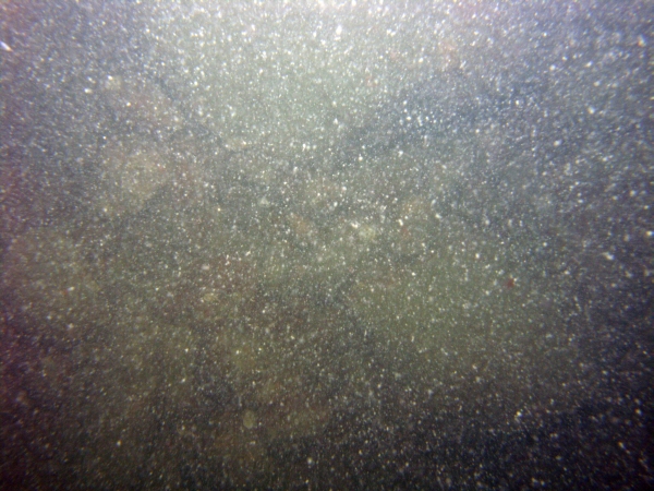 Image of seabed - photo.