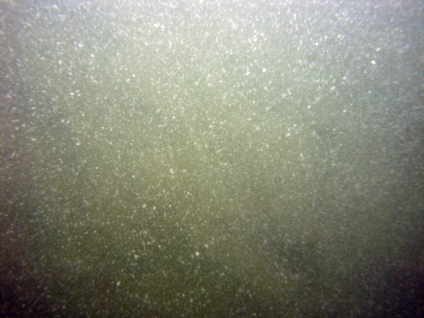 Image of seabed - photo.