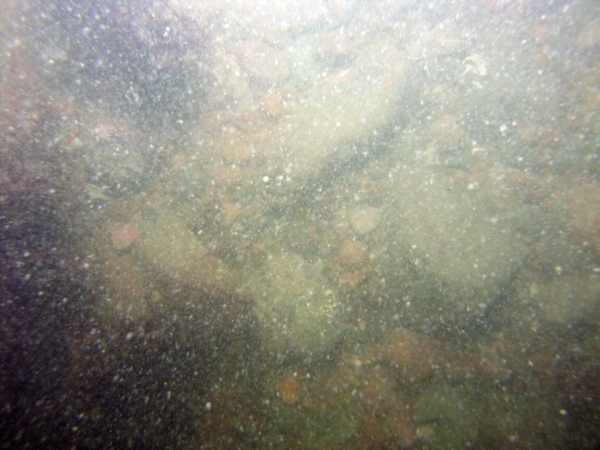 Image of seabed - photo.