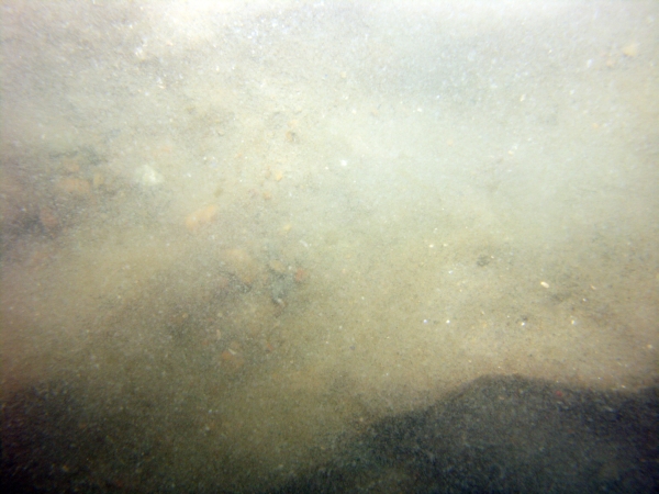 Image of seabed - photo.