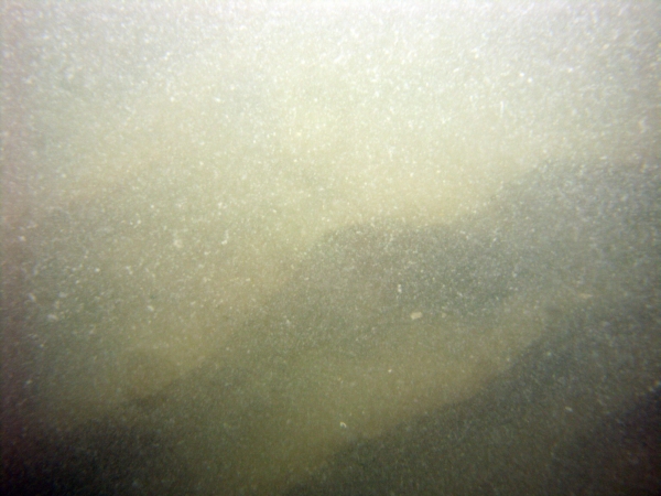 Image of seabed - photo.