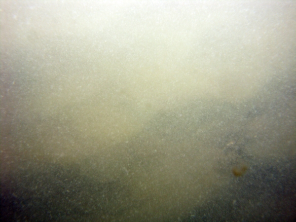 Image of seabed - photo.