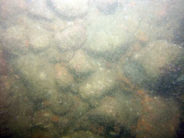 Image of seabed - photo.