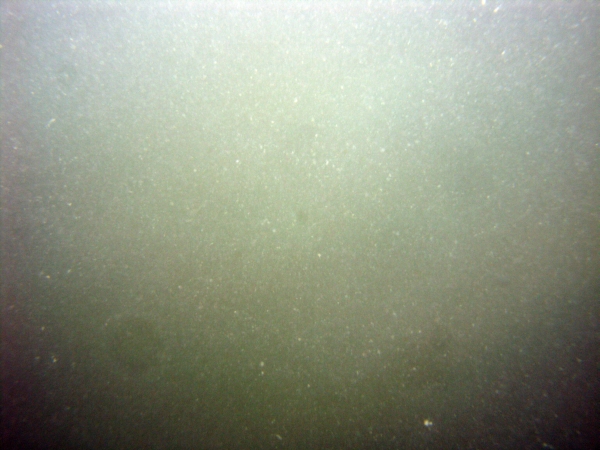 Image of seabed - photo.