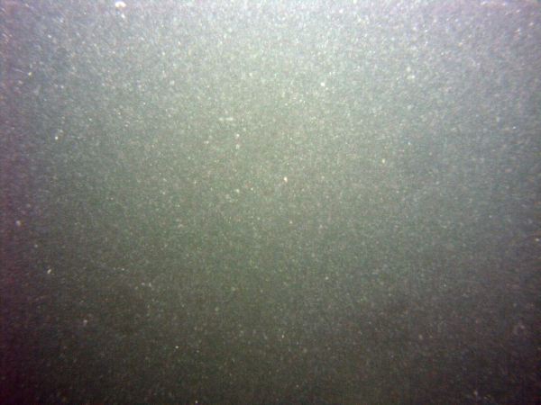 Image of seabed - photo.