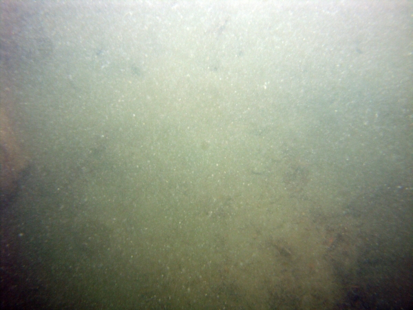 Image of seabed - photo.