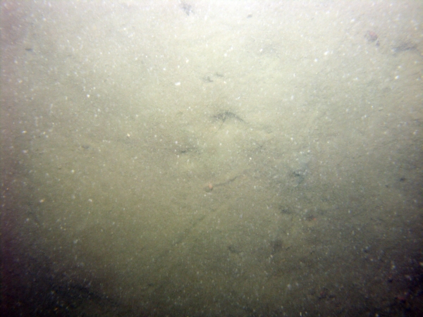 Image of seabed - photo.