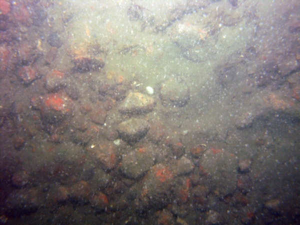 Image of seabed - photo.