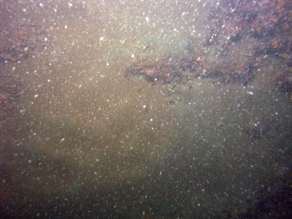 Image of seabed - photo.