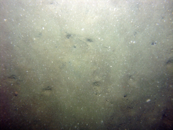 Image of seabed - photo.