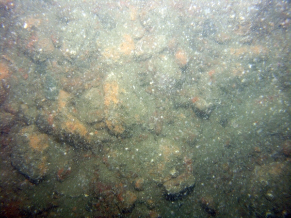 Image of seabed - photo.