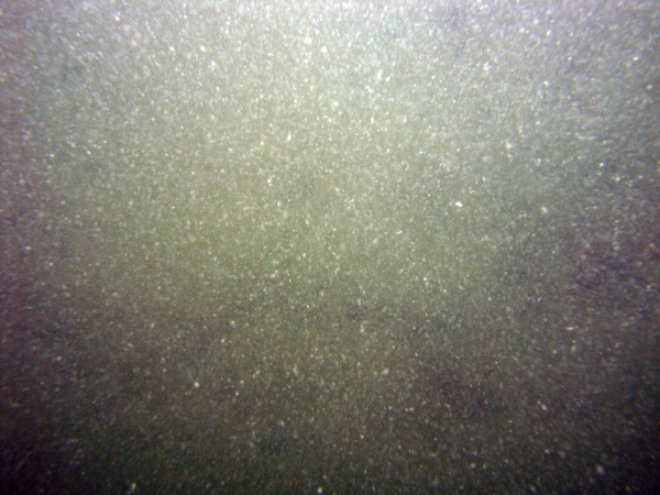 Image of seabed - photo.