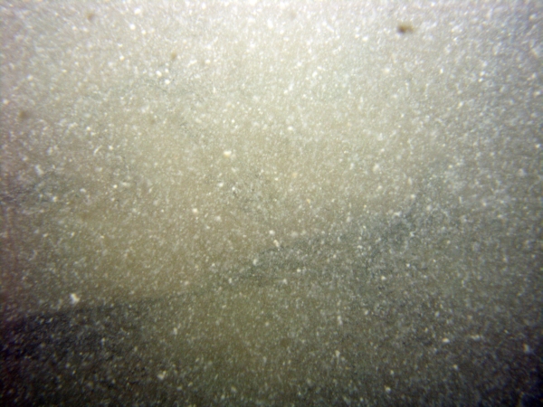 Image of seabed - photo.