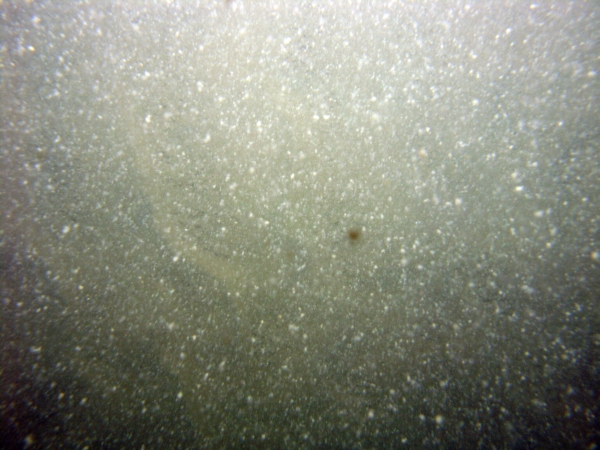 Image of seabed - photo.