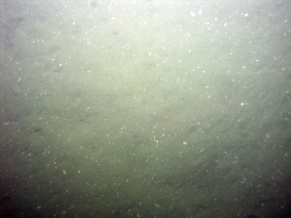 Image of seabed - photo.