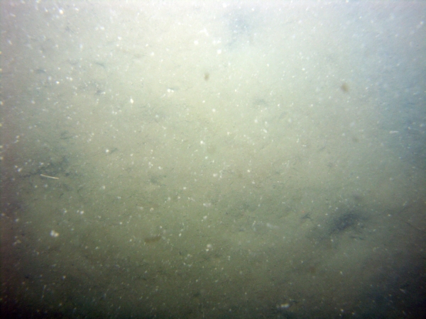 Image of seabed - photo.