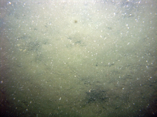 Image of seabed - photo.