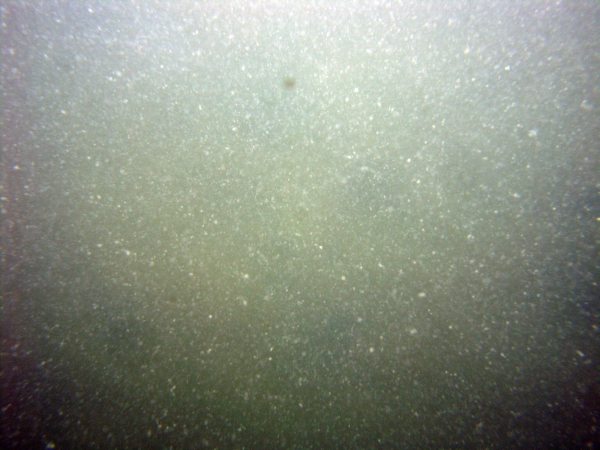 Image of seabed - photo.