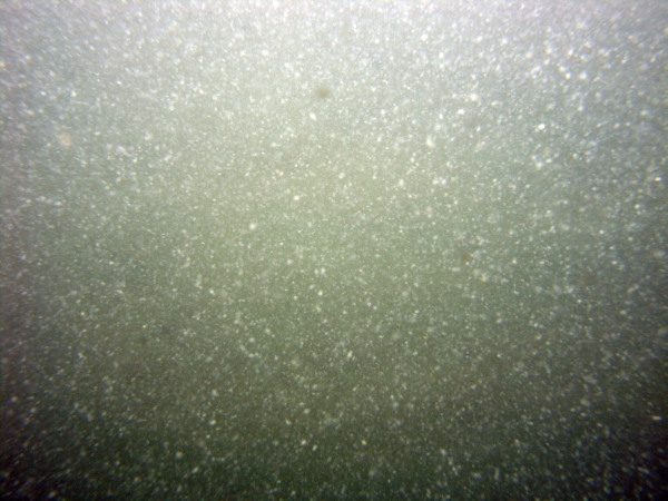 Image of seabed - photo.